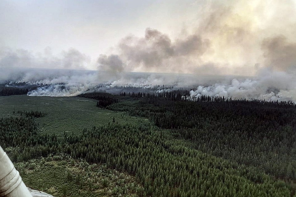 В Сибири горит более трех миллионов гектаров леса Фото: REUTERS