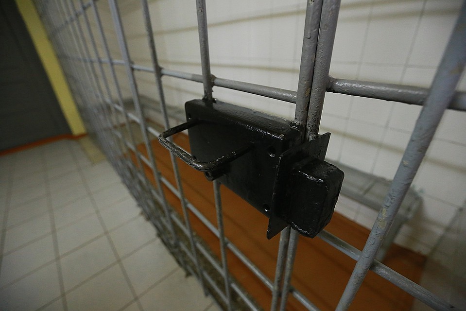 Парню грозит до пяти лет колонии