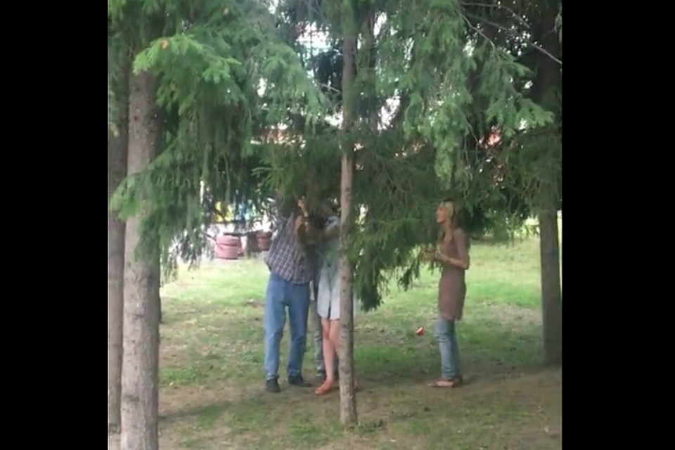 Фото: скриншот с видео (vk.com/omsk_vk)