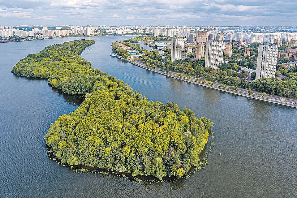 Эта живописнейшая загогулина, покрытая настоящим лесом, - поистине райское местечко. И бобры его давно оценили.
