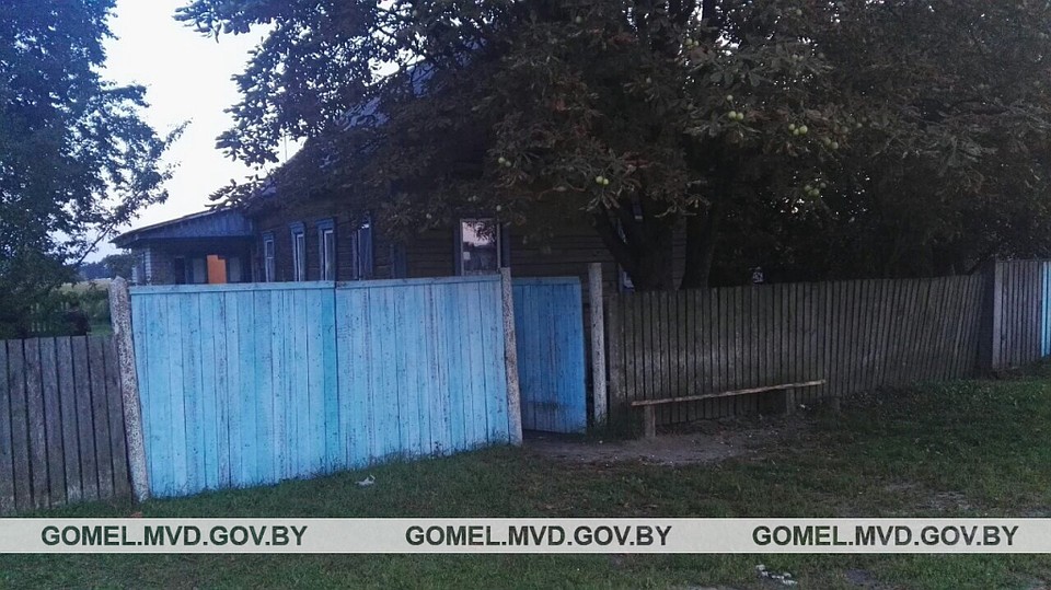 Мальчик игрался в деревне на улице, где нашел строительный патрон. Фото: УВД Гомельского облисполкома