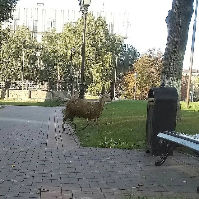Фото: Подслушано в Туле