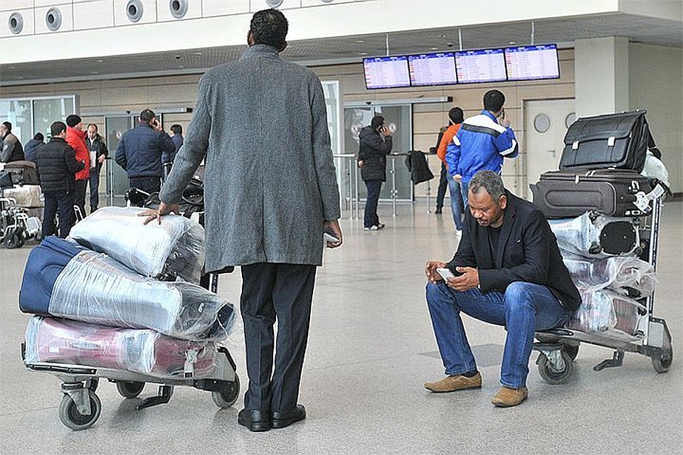В России изменились правила провоза фруктов, овощей и растений через границу