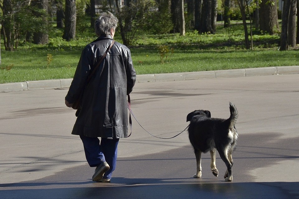 Фото: Алексей ФОКИН