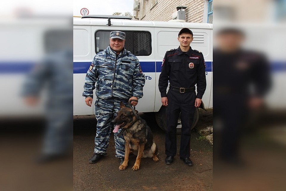 Фото: ГУ МВД по Пермскому краю