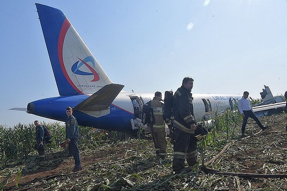 Аварийная посадка А321 в кукурузном поле