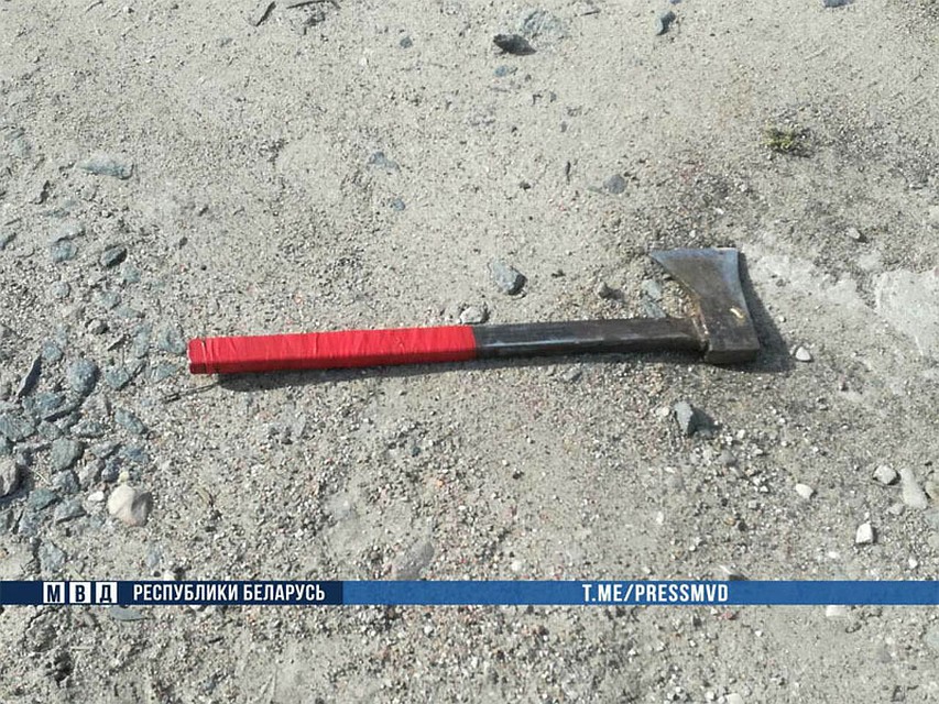 В Пружанском районе со стрельбой задерживали полуголого мужчину, который бегал с топором в руках. Фото: Пружанское РОВД