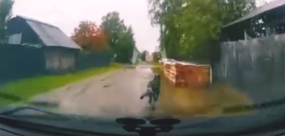 Фото - скрин с видео