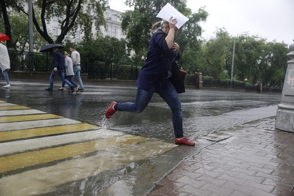 Лето 2019 - самое аномальное за 50-ть лет метеонаблюдений в Коми