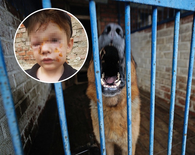 Фото: предоставлено героями публикации