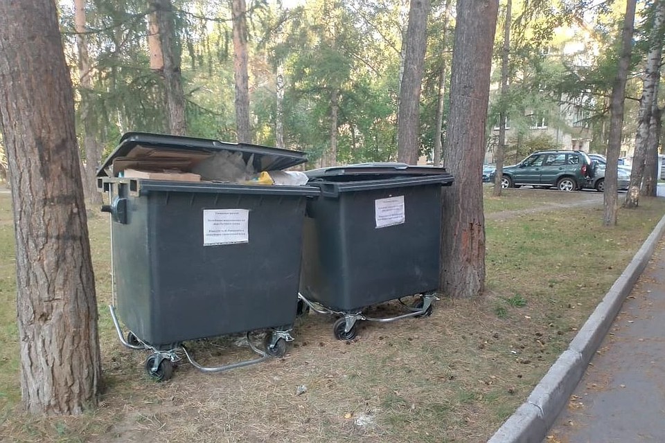 Жительницу Академгородка возмутили мусорные баки, которые стоят на газоне.