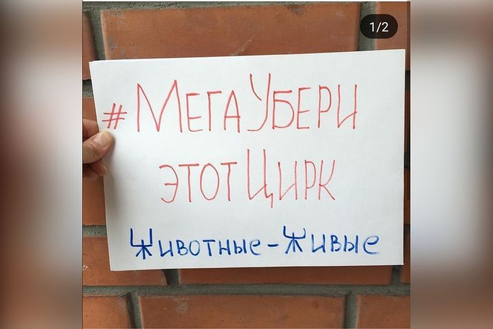 С таким хэштегом сибиряки выкладывают фотографии.