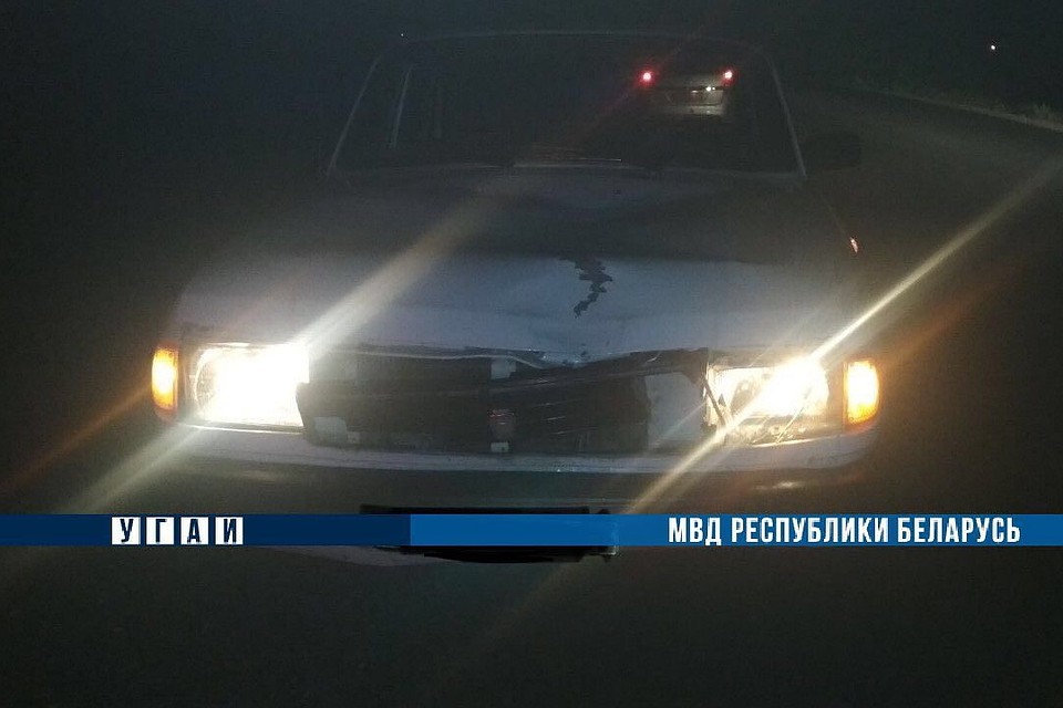 «Волга» насмерть сбила велосипедиста в Жабинковском районе. Фото: ГАИ