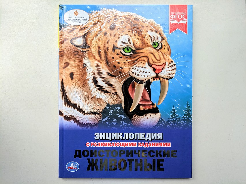 Фото: Алексей ФОКИН