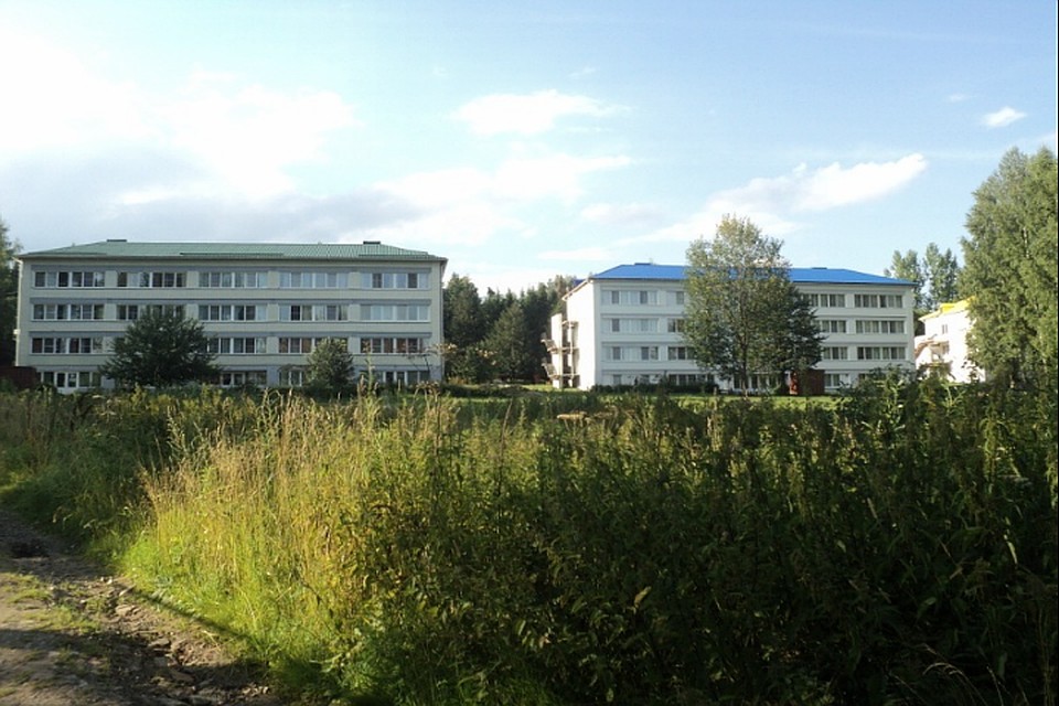ФОТО: соцсети