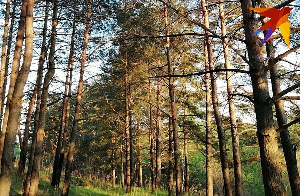 Самое время отдохнуть на природе!