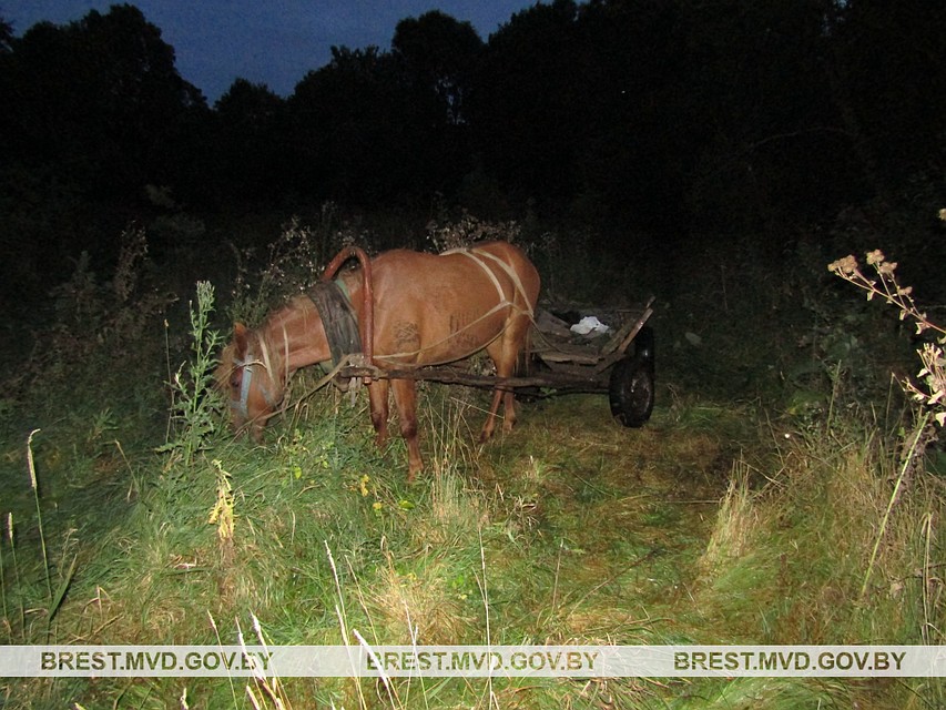 В Столинском районе задержали браконьеров Фото: brest.mvd.gov.by