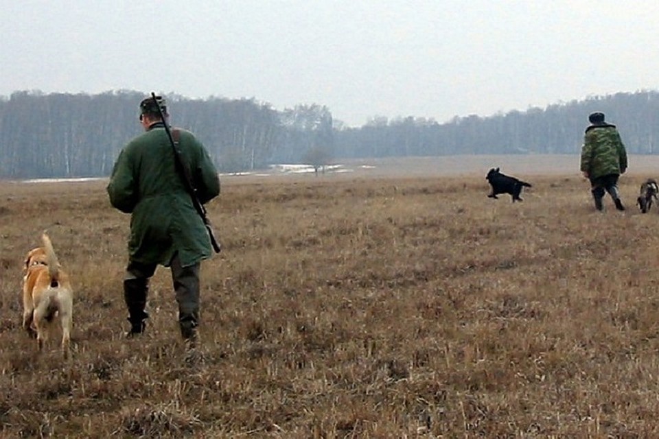 Так, с 15 сентября открывается сезон охоты на лисиц.