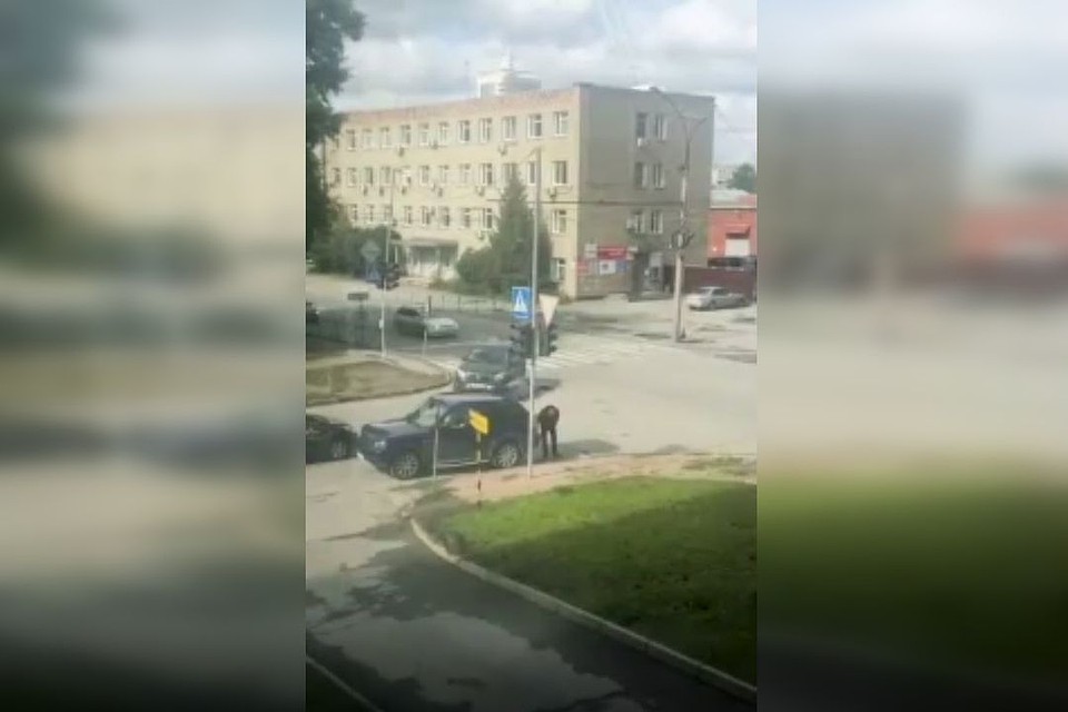 Мужчина складывал плитку с тротуара в центре города к себе в машину. Стоп-кадр с видео.