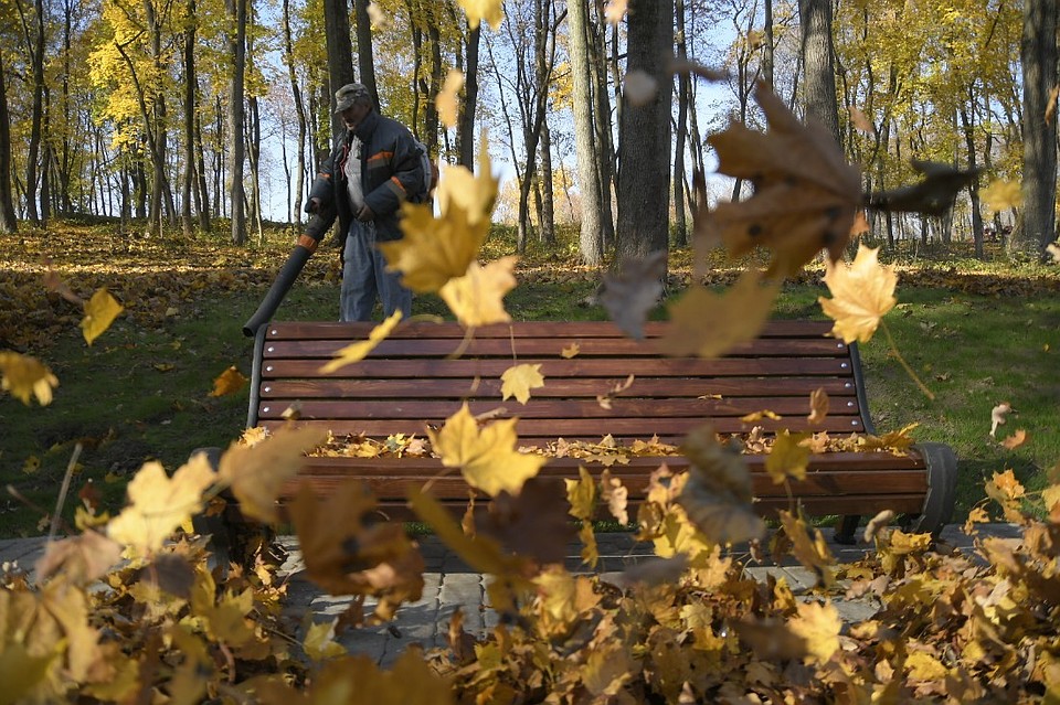 Фото: Алексей ФОКИН