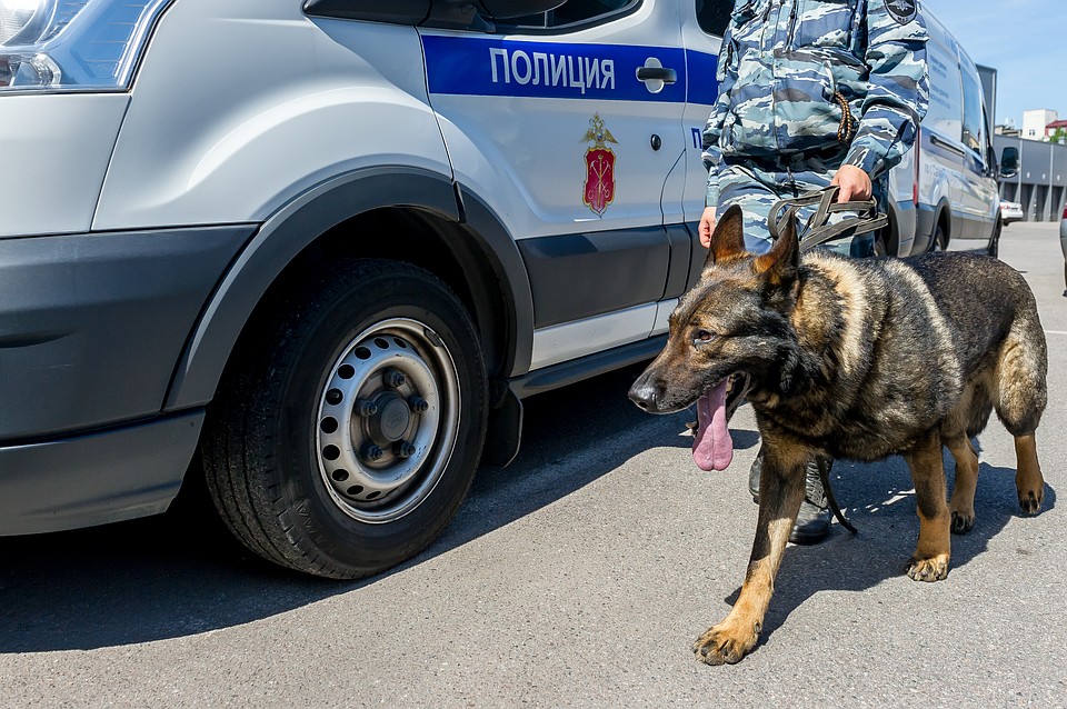 Полиция с собаками разыскивает грабителя банка в Петербурге