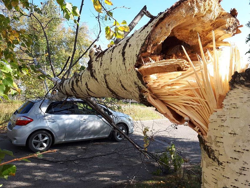 фото: телевидение Колпашева