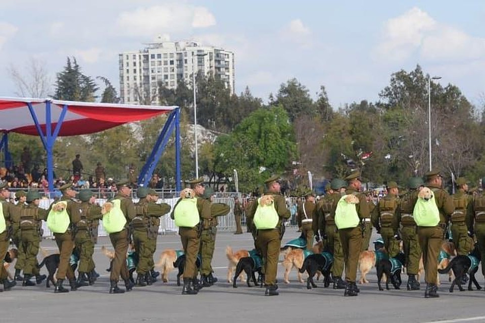 Парад военной полиции в Сантьяго. Фото: Facebook/CarabinerosdeChile