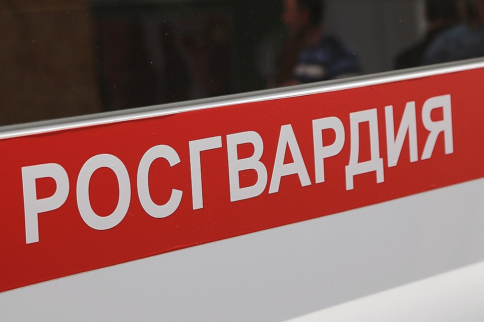Сотрудники Росгвардии задержали грабителя