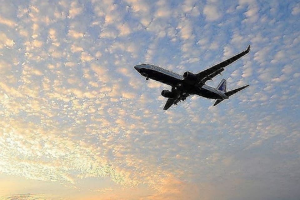 Стюардесса рассказала, почему во время полета не стоит пить чай и кофе