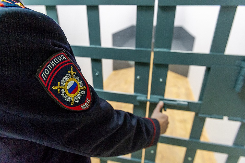 Теперь девушка ожидает суда. Установить её подельников следователям ещё предстоит