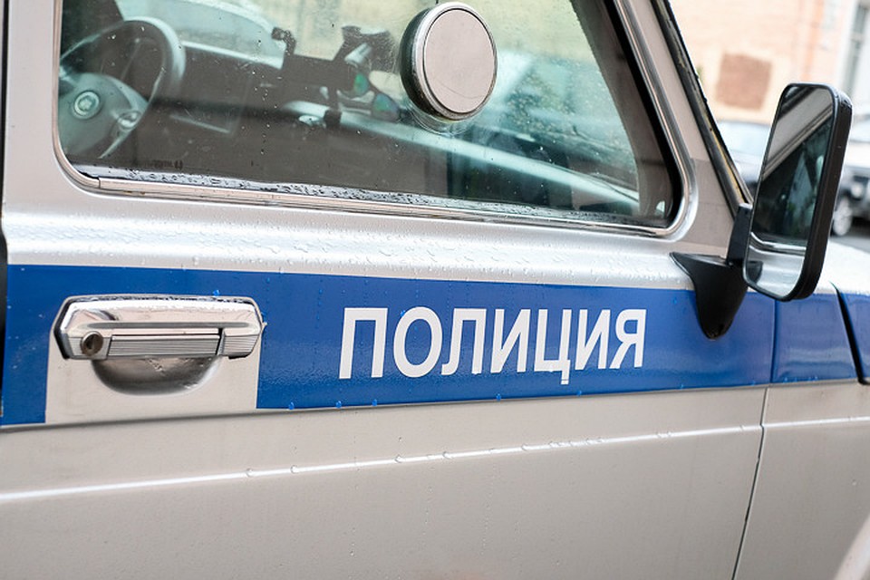 Откуда в лесу в Ленинградской области взялись расчлененные мужские останки, предстоит выяснить следователям.