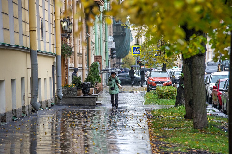 По прогнозам синоптиков, 29 сентября в Санкт-Петербурге будет прохладно и дождливо.
