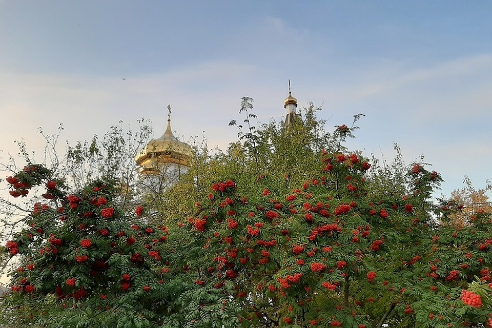 Погода в Тюмени 29 сентября: +5 градусов при северо-западном ветре