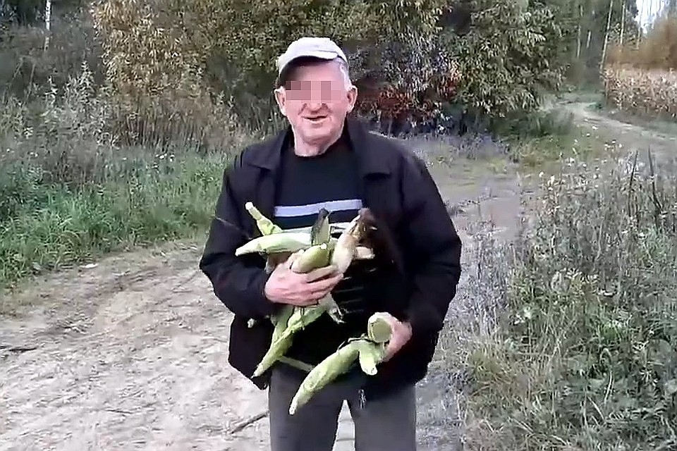 Несколько початков кукурузы стоили пенсионеру работы Фото: кадр с видео