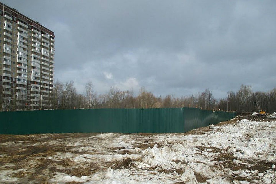 Стройка у Павловской рощи была приостановлена