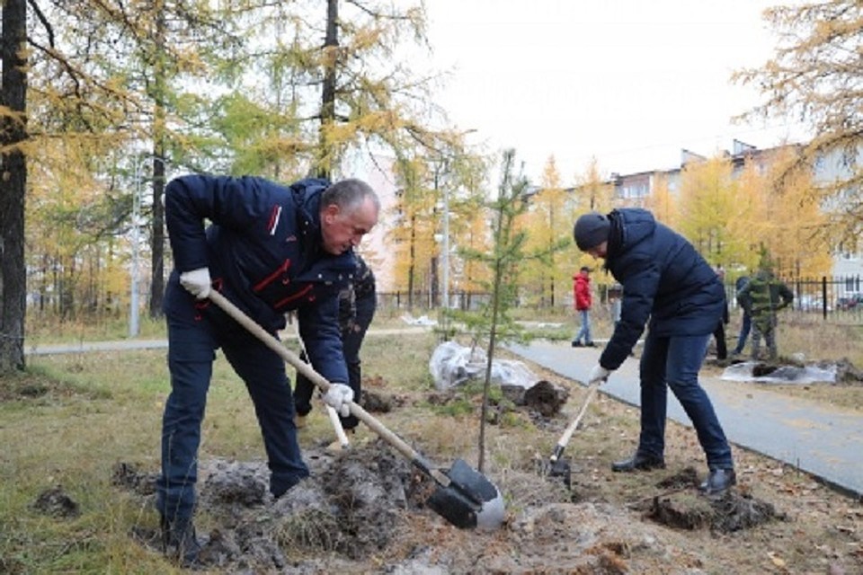 Глава Надымского района принял участие в посадке деревьев Фото: nadymregion.ru