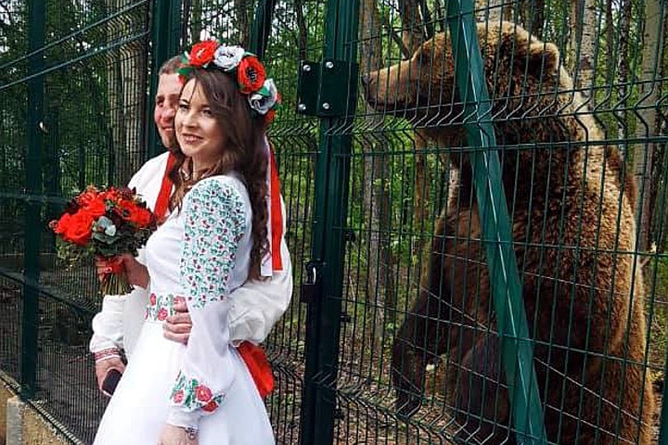 К свадьбе мишка отнесся благосклонно. Фото: facebook.com/Медвежонок Мансур