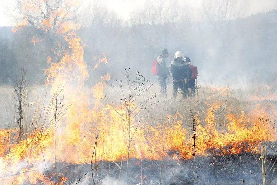 В регионе сохраняется высокая пожароопасность