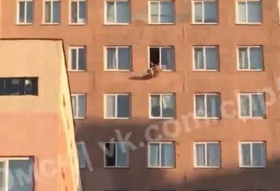 Мужчина повис на карнизе палаты.