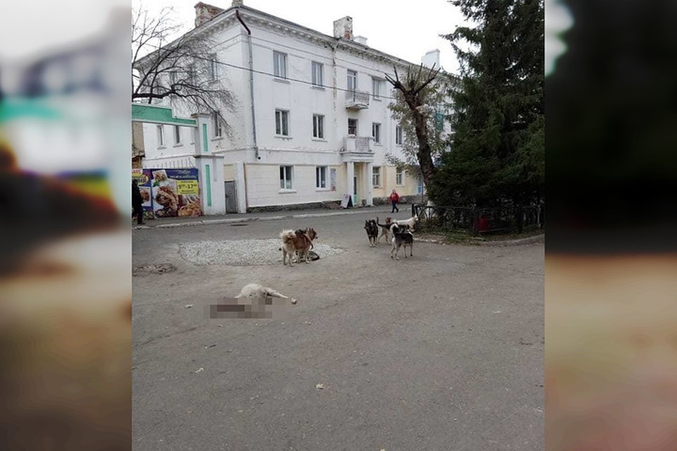 Фото: соцсети