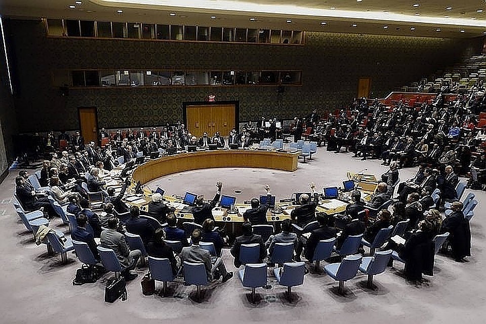 Россия «блокировала» заявления СБ ООН по турецкой операции в Сирии