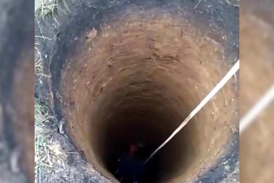 фото: скриншот видео