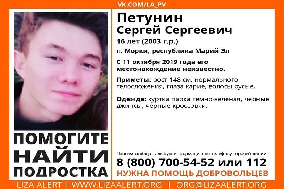 Фото: ПСО "Лиза Алерт"