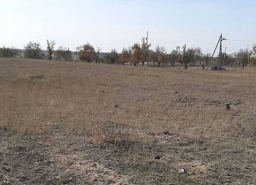 Самозахватчики покусились на эту землю.