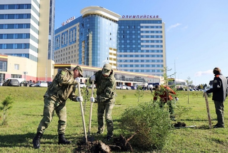 У гостиницы «Олимпийская» в Ханты-Мансийске появилась хвойная аллея. Фото с сайта администрации города Ханты-Мансийск