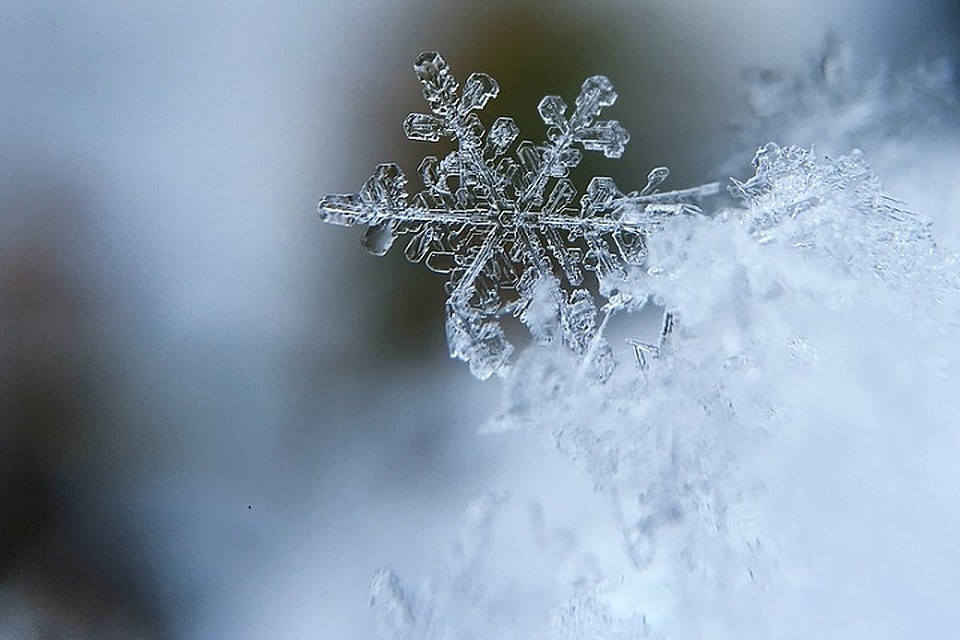 Погода на Ямале 18 сентября: температура воздуха -2... -6 градусов Фото: pixabay.com
