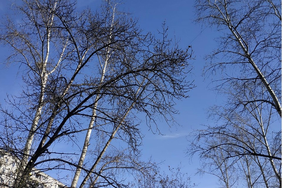 Погода в Хабаровске на 20 октября 2019 года: днем до +15, без осадков