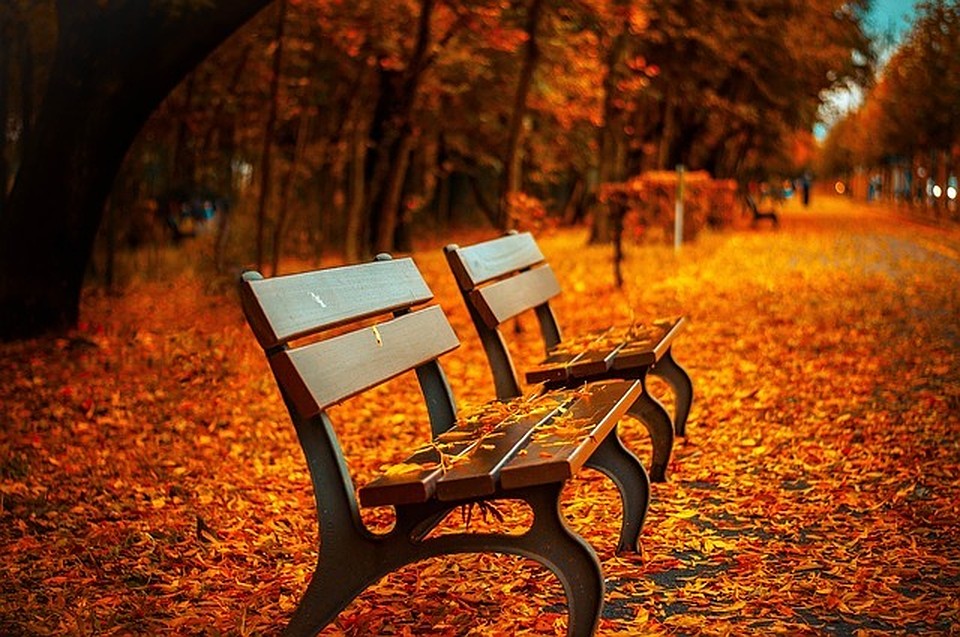 ФОТО: pixabay.com.