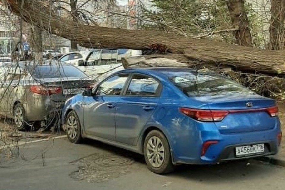Фото: соцсети