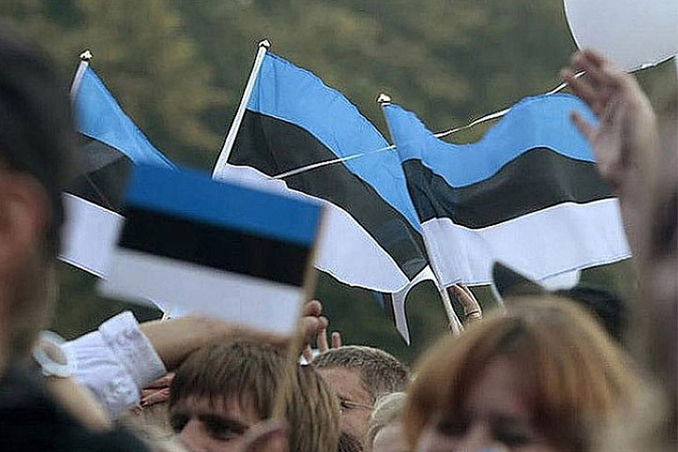 Число желающих иметь гражданство Эстонии увеличилось. Фото: с сайта inestonia.ru